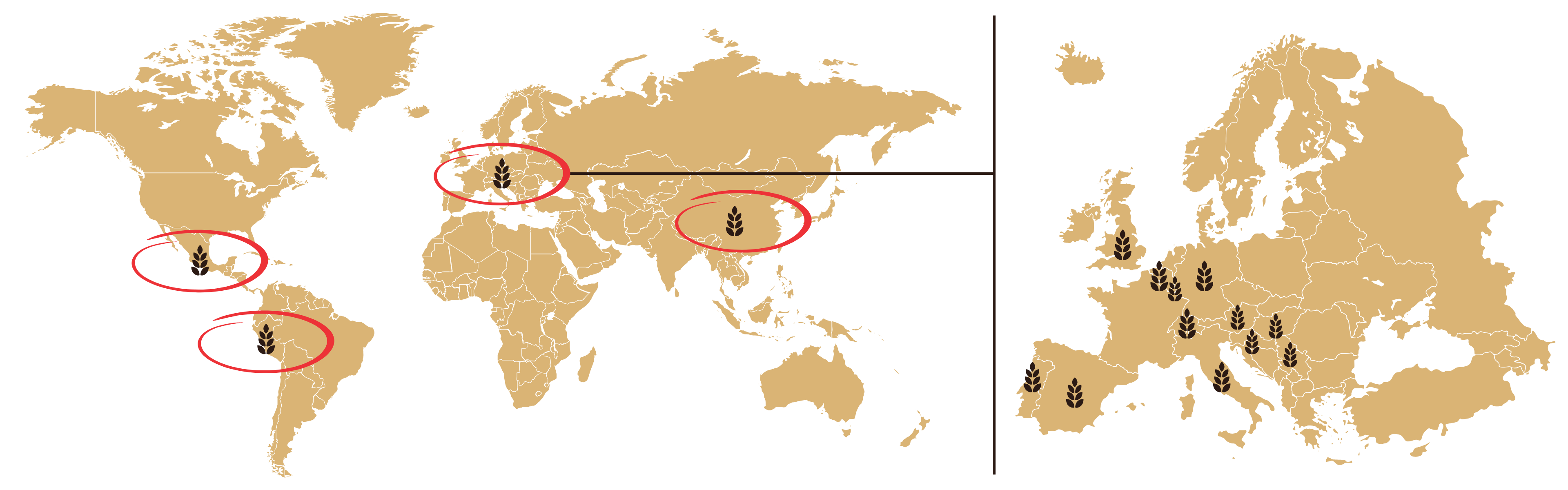 Richemont Club International